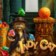 Indy Cat