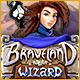 Braveland Wizard