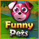 Funny Pets