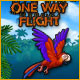 One Way Flight