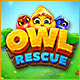 Owl Rescue