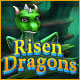Risen Dragons