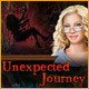 Unexpected Journey